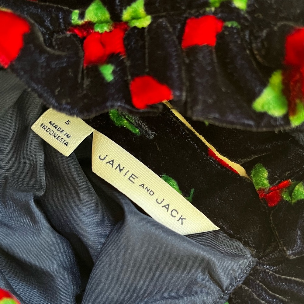 Janie and Jack Velvet Dress with Red and Green Floral Accents - Picture 4 of 6